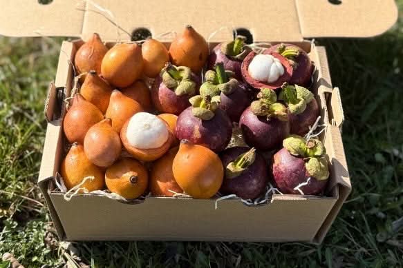 Achachairu & Mangostan Box Sonderaktion %