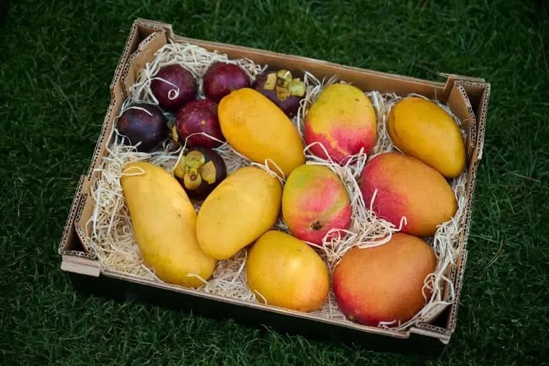 Anna’s Bio Mango Tango Box - Image 4