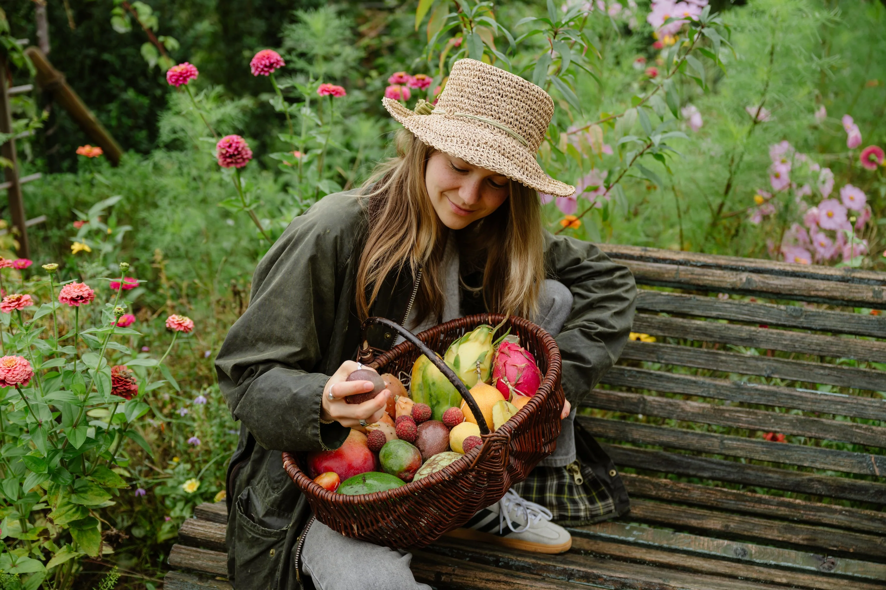 Annas Exotic-Box Bio & wild - Image 7