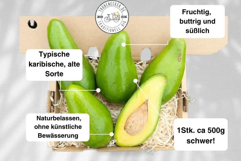 Avocado Antillano (Riesen-Avocado ca. 700g) - Image 4