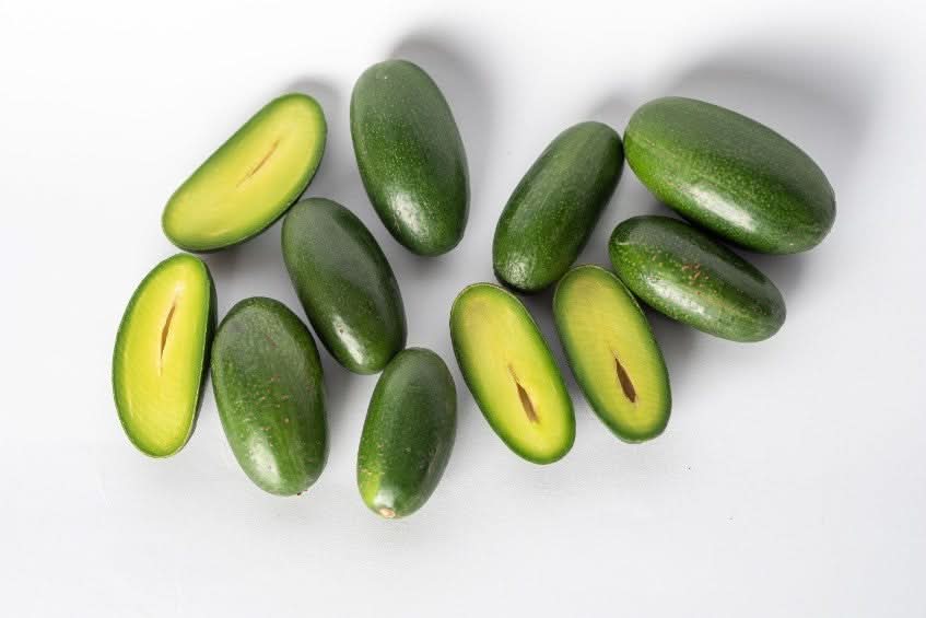 Avocado Cocktail  (absolute Rarität) Aktionspreis % - Image 6