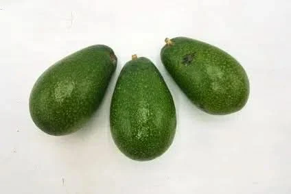 Avocado Ettinger von Julian - Image 5