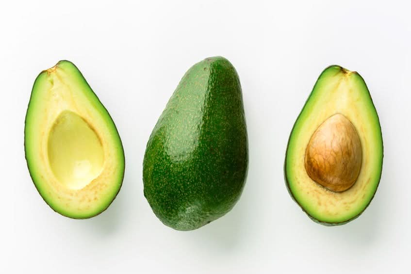 Avocado Fuerte wild 13 Monate baumgereift von Rufino