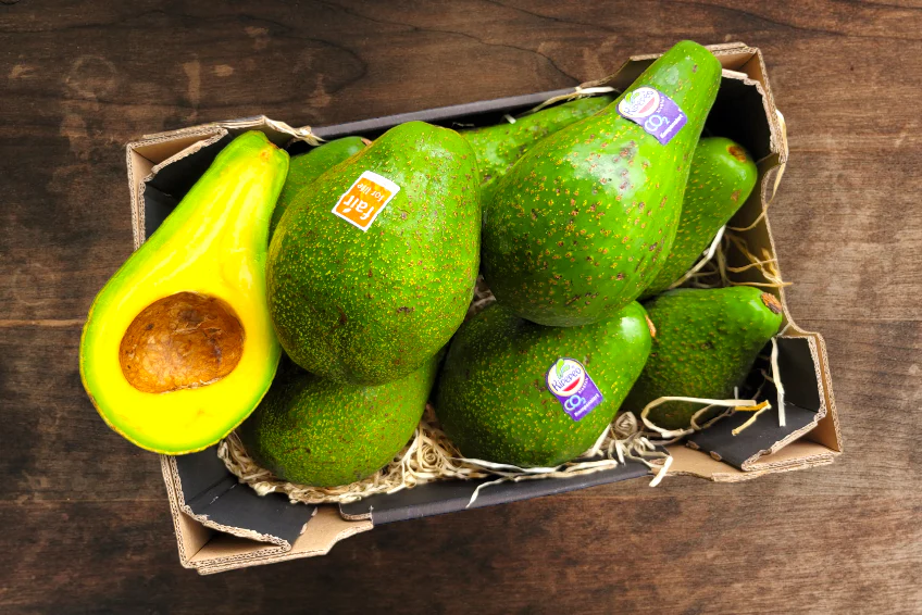 Avocado "Jumbo" Bio & Fair Kipepeo Sparpreis-Box - Image 5