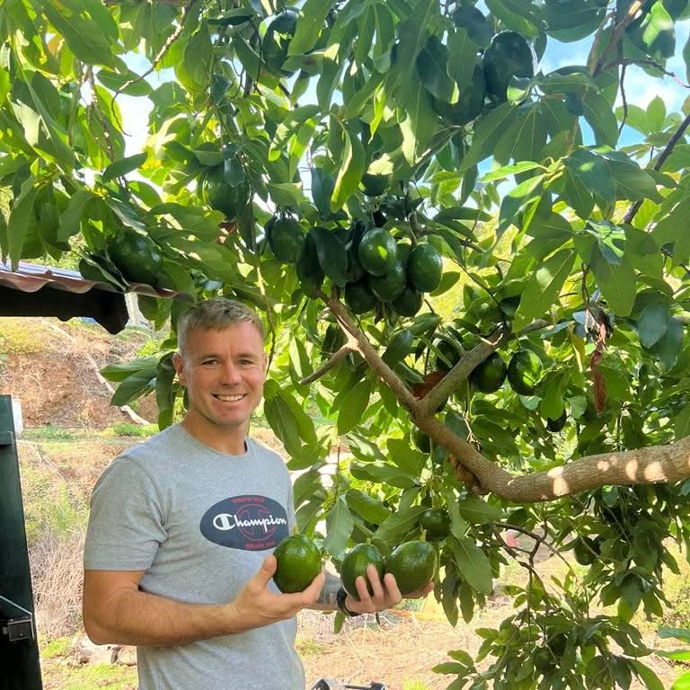 Avocado Mix „Wilde Schönheiten“ von Julian - Image 11
