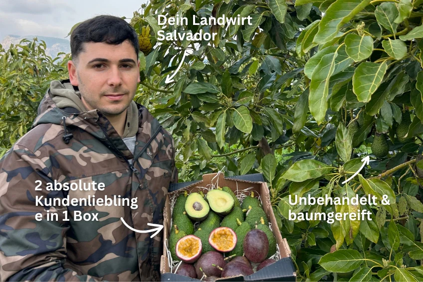 Vorschaubild 2
