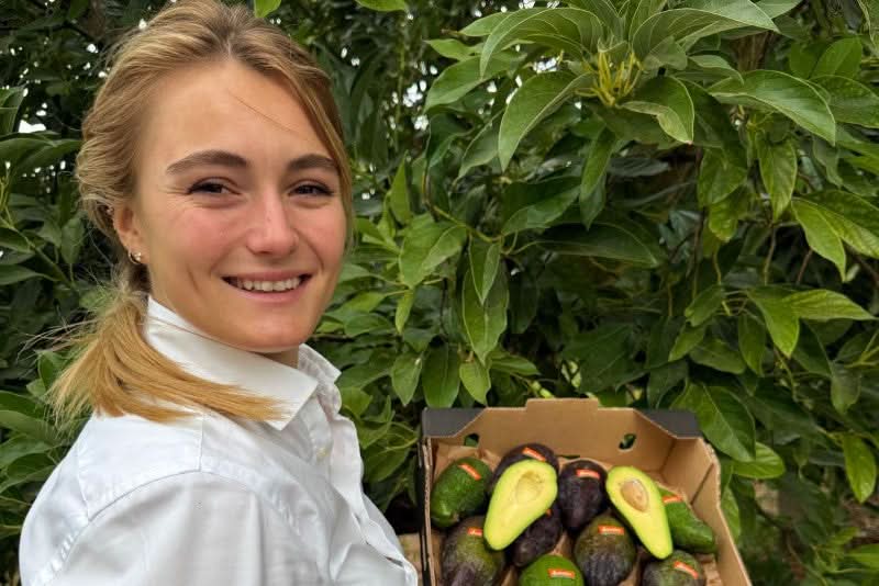 Avocado Wild Bio Demeter von Julia Sparpreis-Box - Image 7