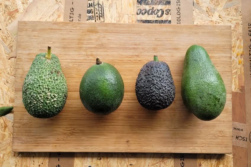 Avocadobox "Klick & Mix" Aktionspreis