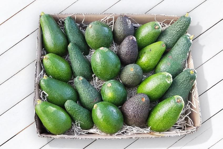 Avocadobox "Klick & Mix" Aktionspreis - Image 6