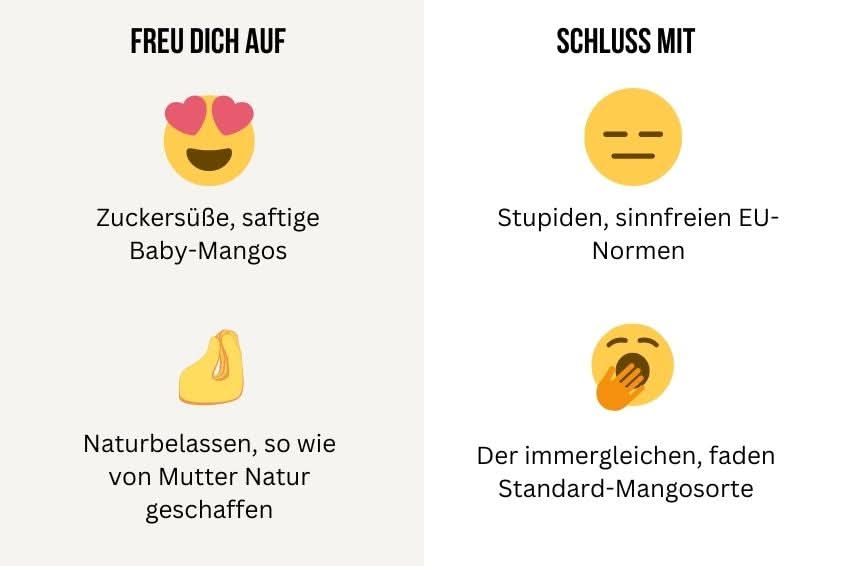 Baby-Mango Irwin Bio von Julian Sparbox - Image 5