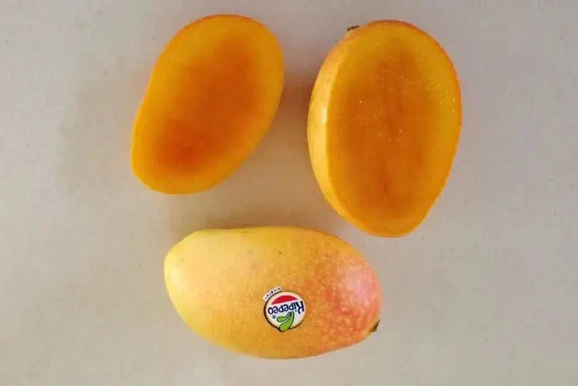 Baby-Mango "Keong" baumgereift Bio & Fair - Image 2