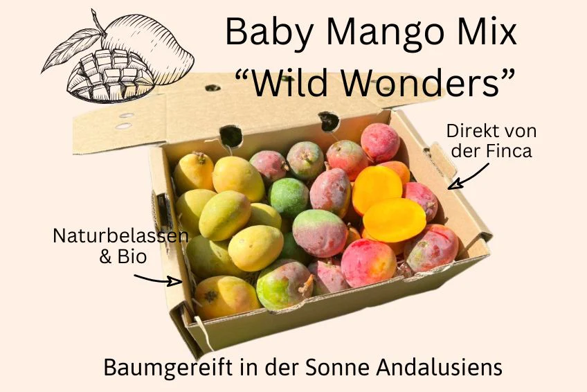 Baby-Mango Mix "Wild Wonders" Sonderaktion - Image 7