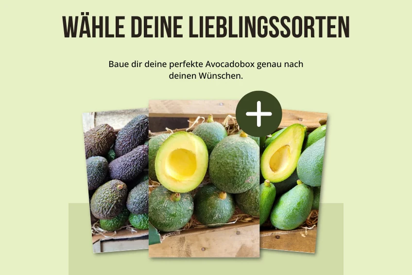 Baue deine eigene Trübenecker Avocado Box - Image 2