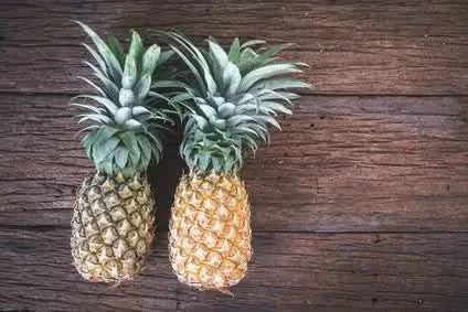 Ananas Flugware Bio