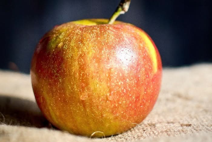 Apfel "Cox Orange" Bio vom Erletz Hof regional - Image 3
