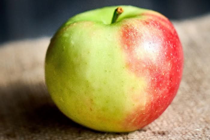 Apfel „Elstar“ vom Obstgut Erletz Bio regional - Image 3