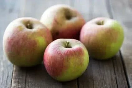 Apfel Jonagored Bio