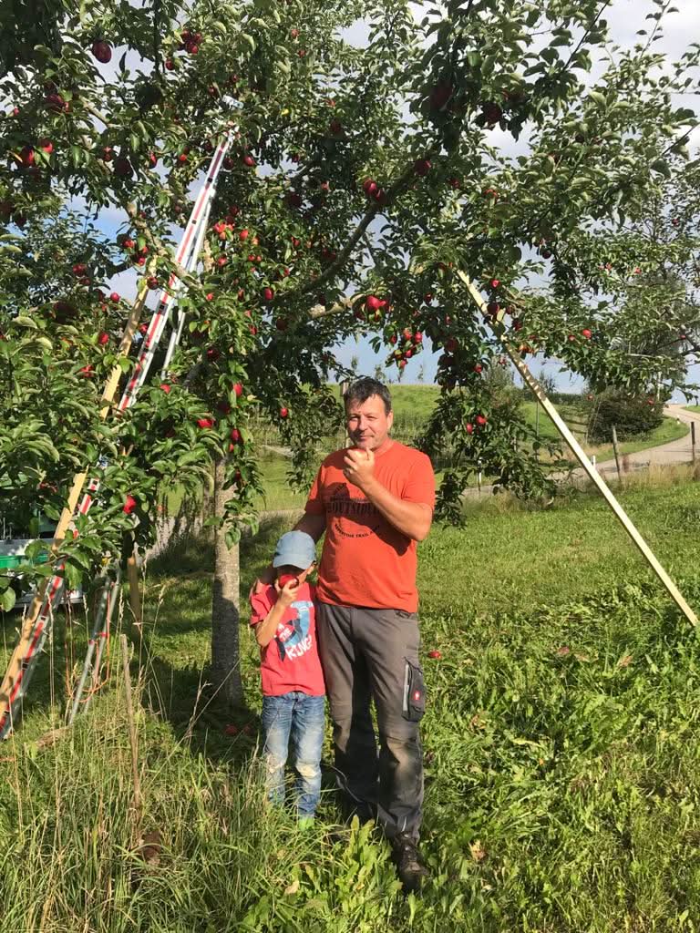 Apfel "Prinz Albrecht" alte Sorte Bio regional - Image 2