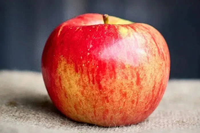 Apfel Topaz Bio regional - Image 3