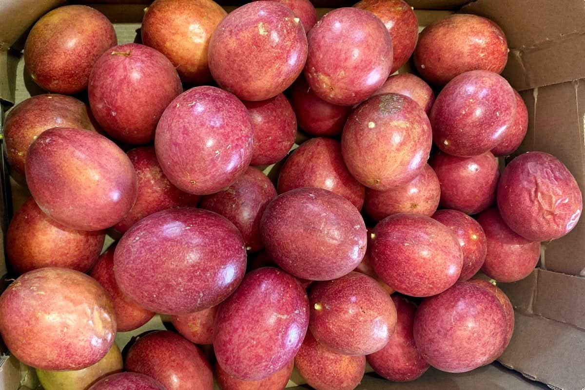 Ätna Passionsfrüchte Bio von Andrea Sizilien - Image 2