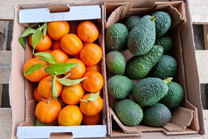 Avocado-Clementine Duo Aktionspreis Bio