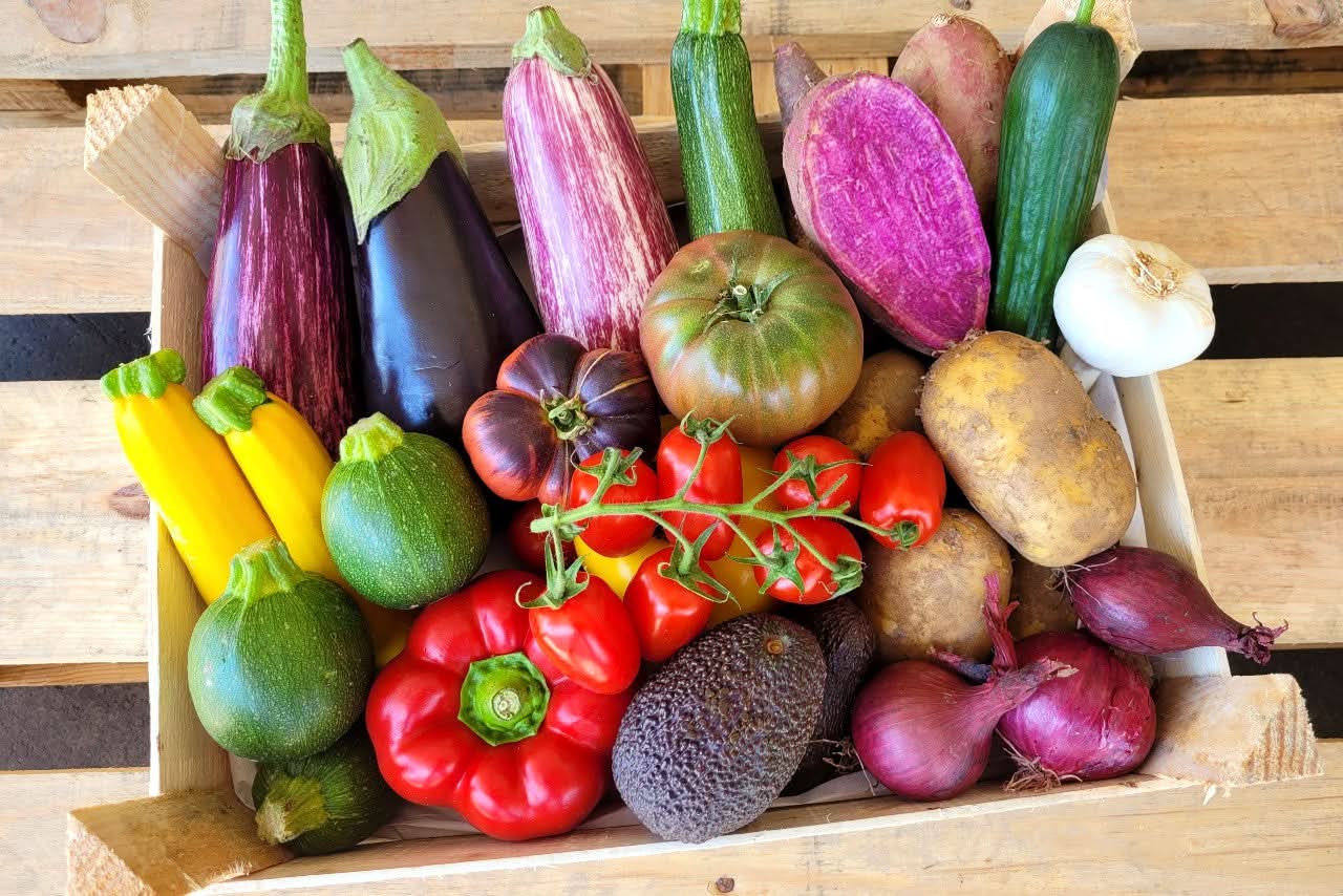 BBQ Sommer  Bio Gemüsebox