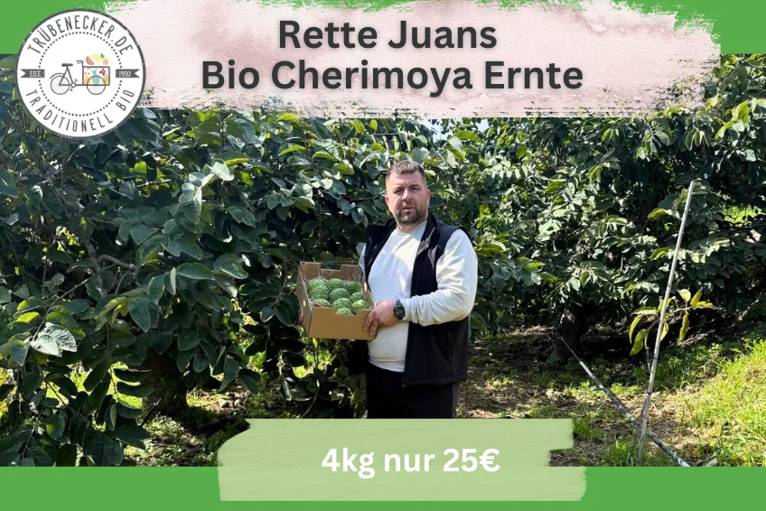 Cherimoya Bio Hochernte-Retterbox Sonderaktion % 4kg - Image 2