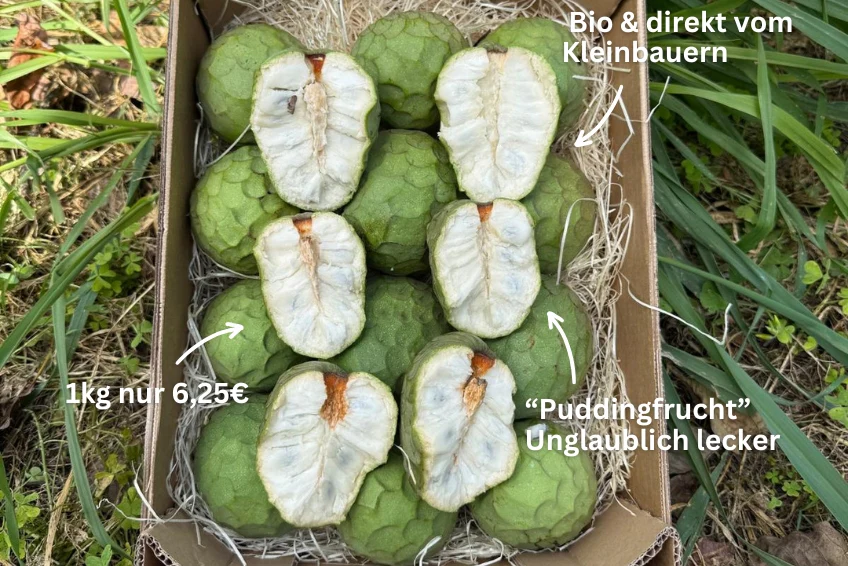 Cherimoya Bio Hochernte-Retterbox Sonderaktion % 4kg - Image 3