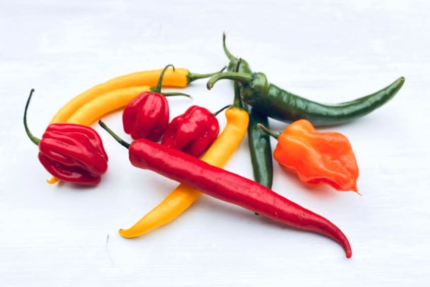 Chili Mix "Hot Stuff" Bio 300 Gr.