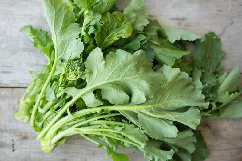 Cime di rapa (Stängelkohl) Bio