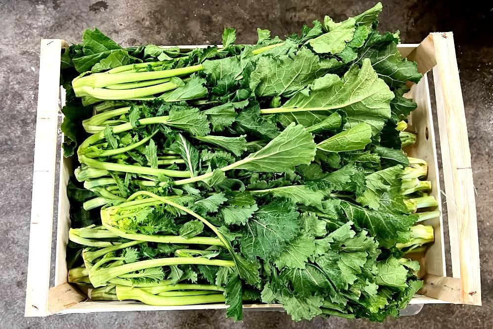 Cime di rapa (Stängelkohl) Bio - Image 2