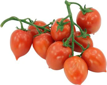 Cocktailtomaten am Strauch Bio regional
