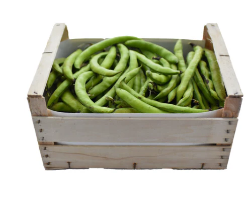 Dicke Bohnen (Original Fava) Bio aus Sizilien - Image 2