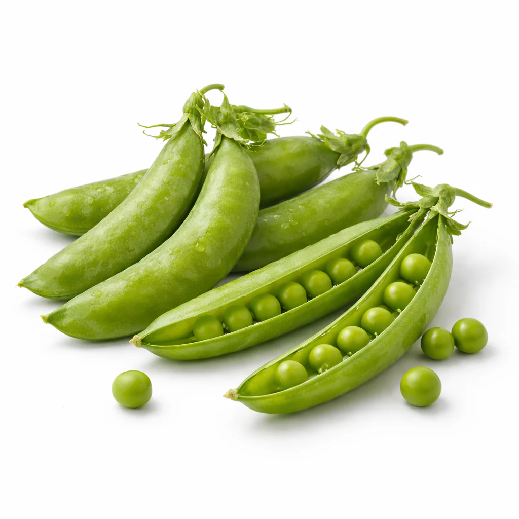 Erbsen in der Schote Bio (Piselli) aus italien