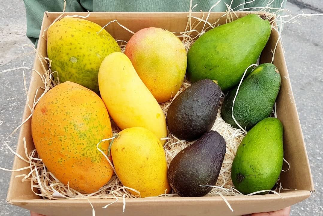 Exotikbox "Pa-Man-Cado" 4kg
