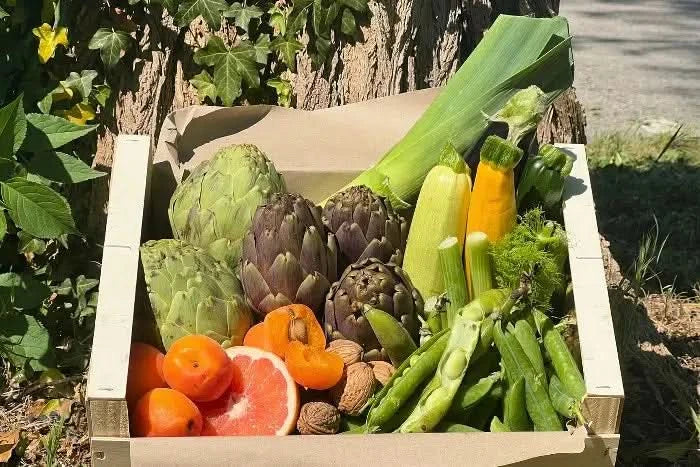 Bio Gemüsebox "Provence Genusskiste" - Image 3