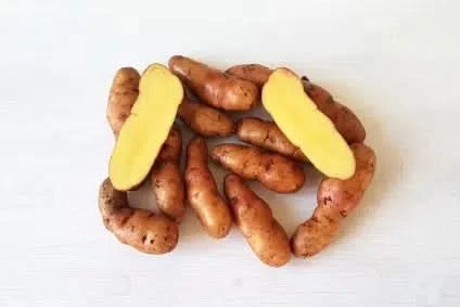 Kartoffeln „Bamberger Hörnchen“ Bio regional Bioland