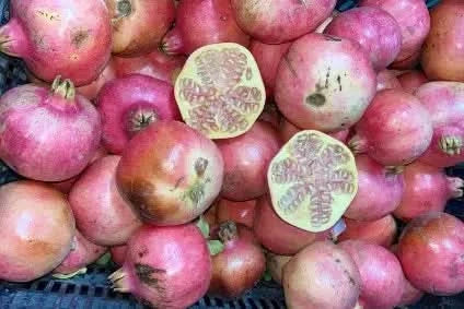Granatapfel Mo hellfleischig Bio