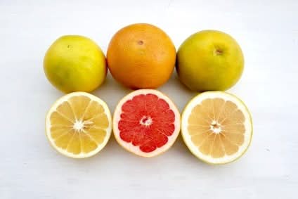 Bio Grapefruit Mix Kreta Aktionspreis - Image 2