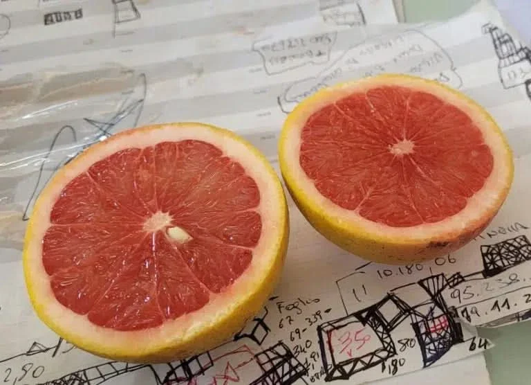 Grapefruit rot Bio von Andrea aus Sizilien 4kg Box - Image 2