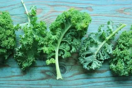 Grünkohl (Kale) Bio - Image 2