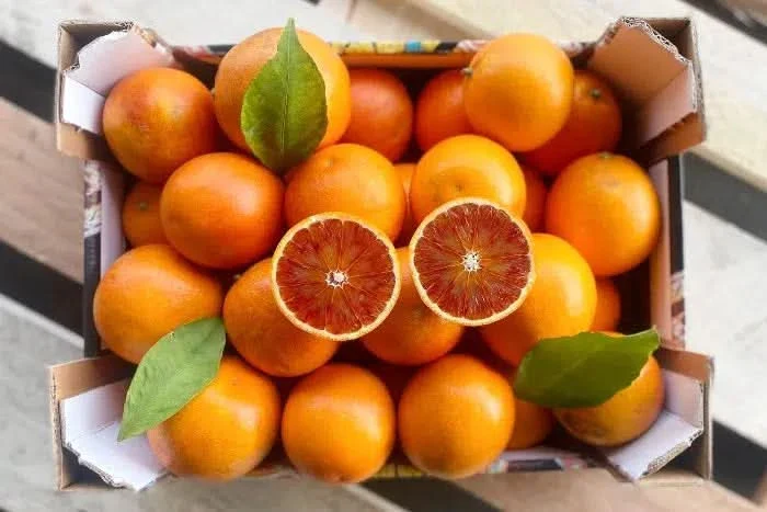 Blutorangen Tarocco Bio Sizilien Sparpreis-Box % 7kg