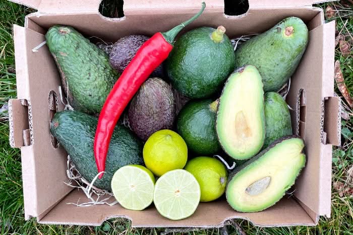 Holy Guacamole Box