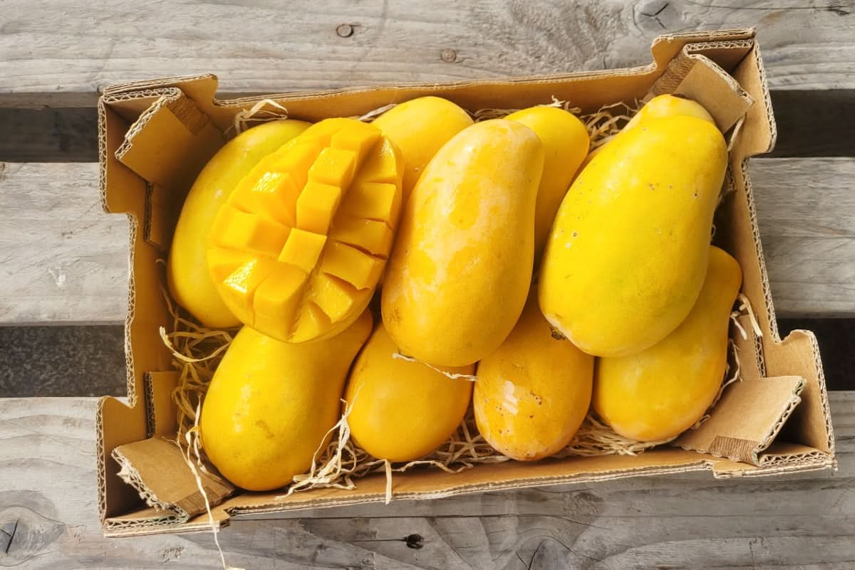 Honig-Mango Ataulfo baumgereift Oster-Flashaktion Box Bio - Image 2