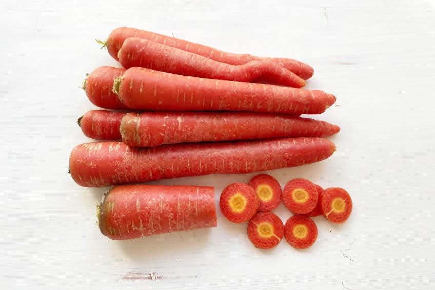 Karotten “Rote Helene“ Bio Familie Schoof Demeter