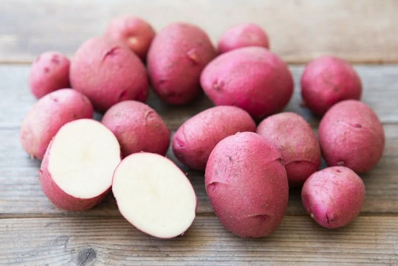 Kartoffeln „Butter“ rotschalig Familie Schoof Demeter Bio