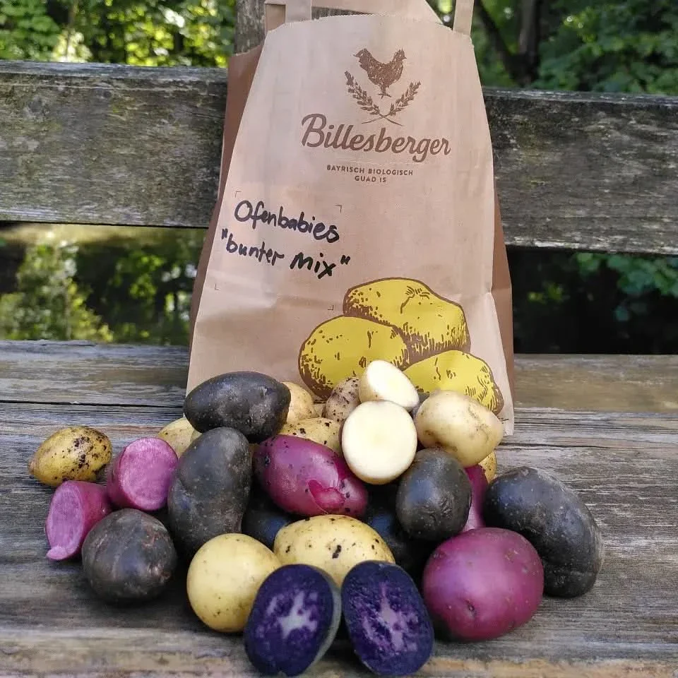 Kartoffelvariationen bunt Bio regional - Image 3