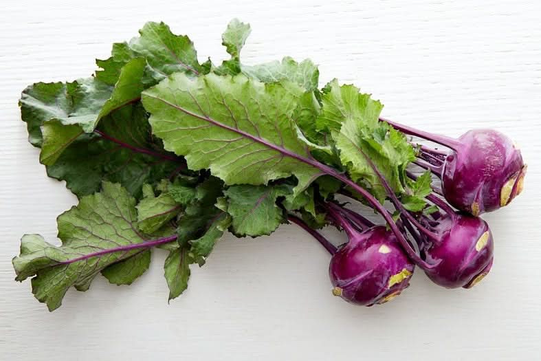 Kohlrabi lila Bio von Cosmo Bio - Image 2