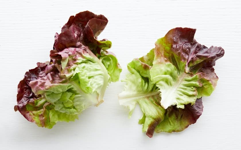 Kopfsalat rot Bio regional