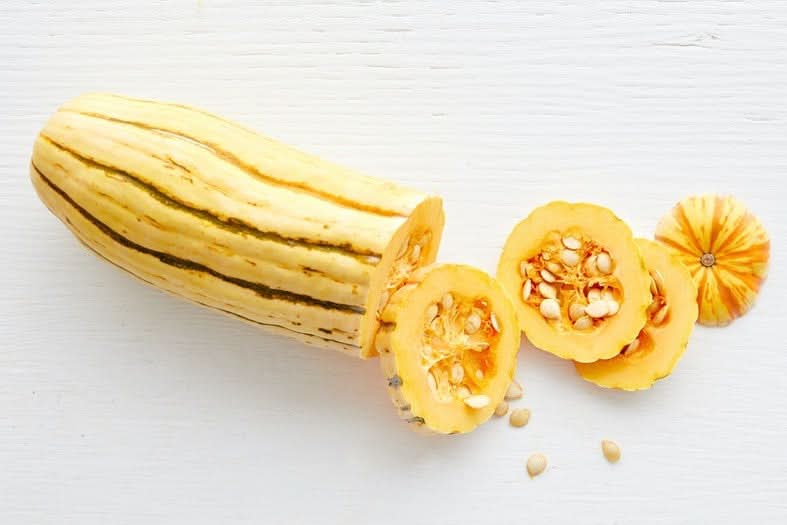 Kürbis "Delicata" Bio regional vom Billesberger Hof